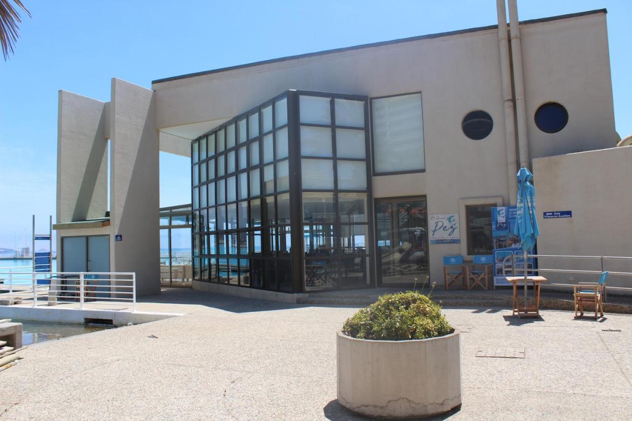 Apartment San Alfonso Del Mar, Algarrobo